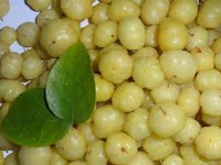 क्या आपको पता है इस सीक्रेट से बाल बढ़ाने का आसान तरीका क्या आपको पता है इस सीक्रेट से बाल बढ़ाने का आसान तरीका