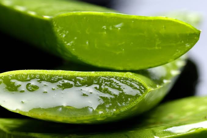Do you know the 5 uses of aloe vera for face | एलोवेरा के 5 उपयोग आप जानते है!!